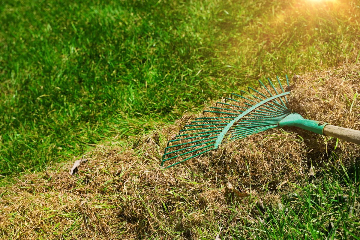 Aeracja trawnika – kiedy naprawdę ma sens, a kiedy to strata czasu?