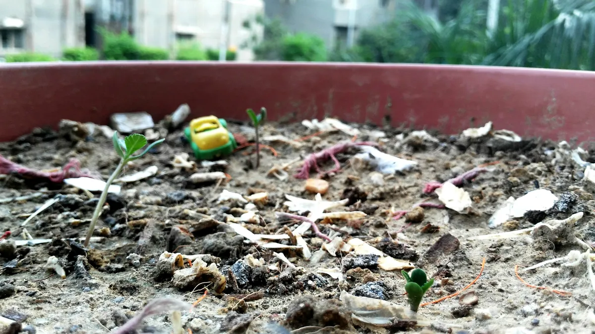 Dlaczego kompost śmierdzi? Przyczyny, typy zapachów i szybkie sposoby naprawy