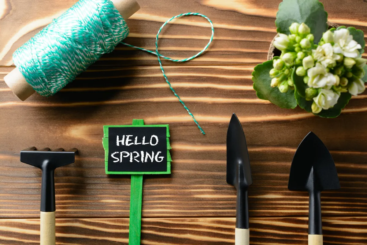 Ogród w kwietniu 2026 — co robić, żeby nie stracić sezonu - kalendarz ogrodnika kwiecień