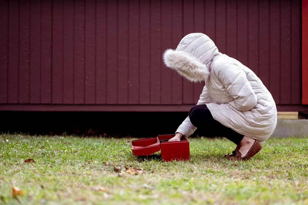 Skuteczne sposoby na kreta w ogrodzie: chemia, pułapki i bariery krok po kroku