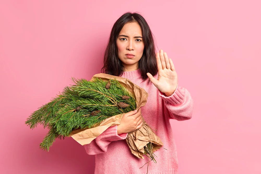 Czy tuje są trujące i szkodliwe?