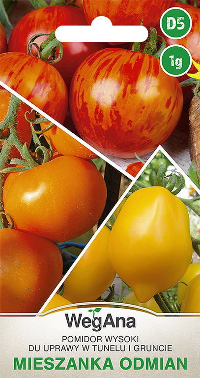 Wegana Pomidor wysoki do uprawy w tunelu i gruncie mieszanka odmian 1g
