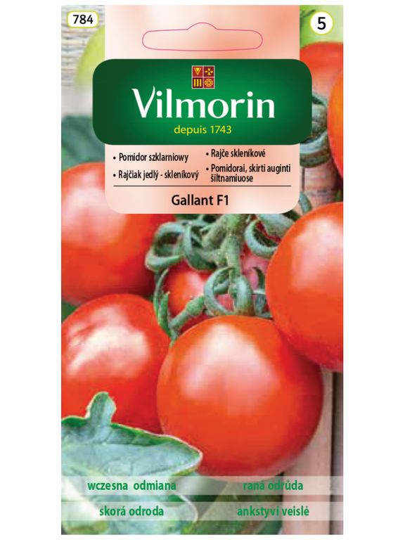  Pomidor szklarniowy GALLANT F1 0,2 g Vilmorin